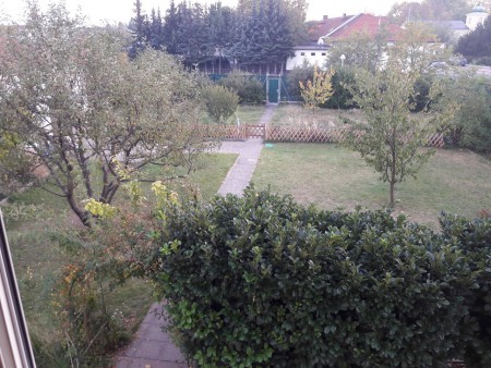 Unser riesiger Garten